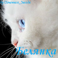 Белянка